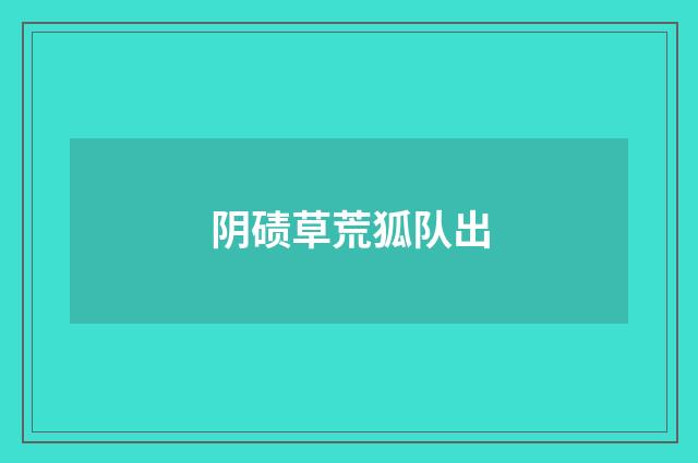 阴碛草荒狐队出