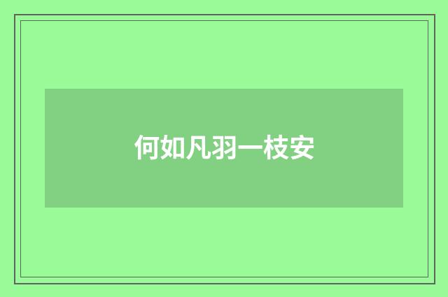 何如凡羽一枝安