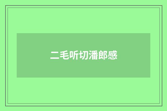 二毛听切潘郎感