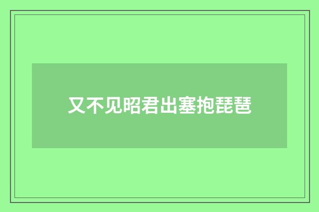 又不见昭君出塞抱琵琶
