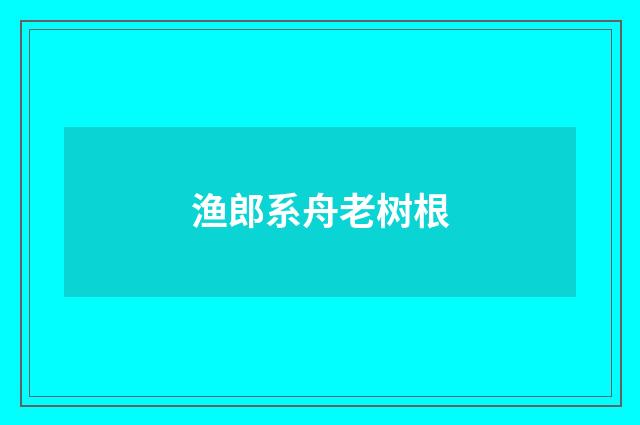 渔郎系舟老树根