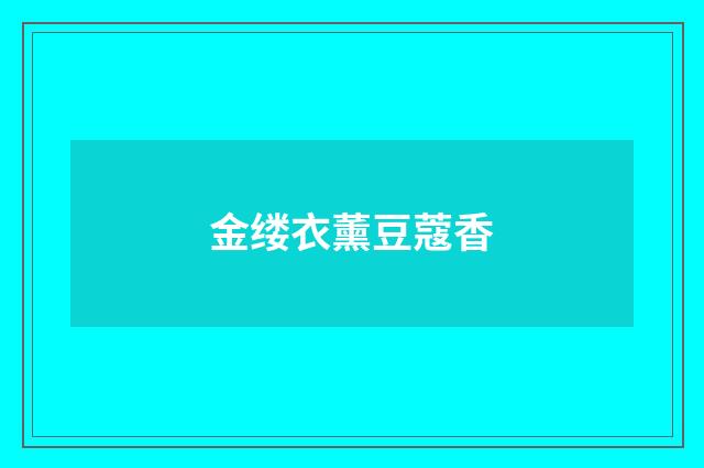金缕衣薰豆蔻香
