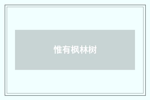 惟有枫林树