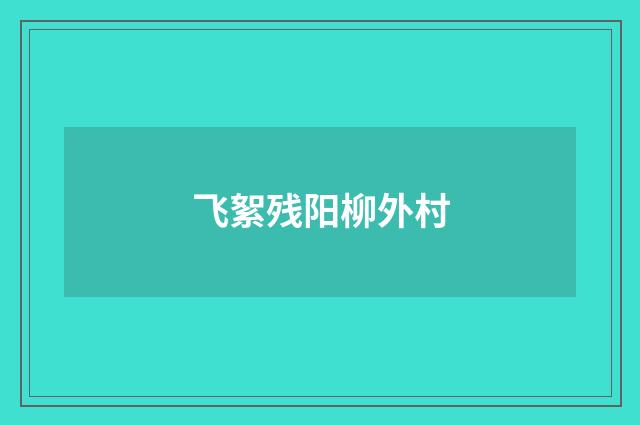 飞絮残阳柳外村