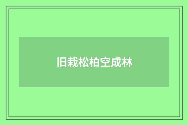 旧栽松柏空成林