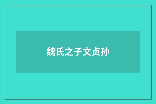 魏氏之子文贞孙