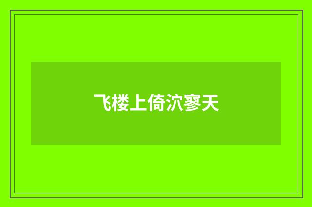 飞楼上倚泬寥天