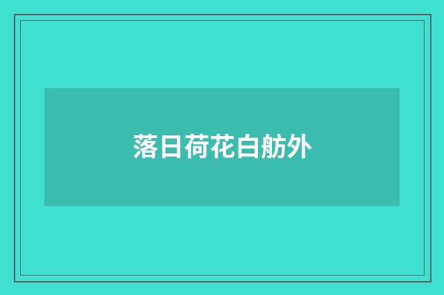 落日荷花白舫外