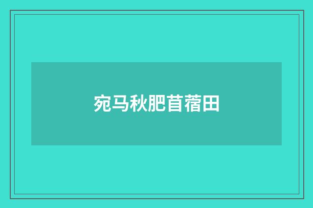 宛马秋肥苜蓿田