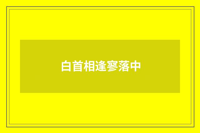 白首相逢寥落中
