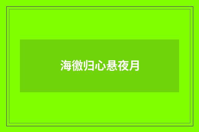海徼归心悬夜月
