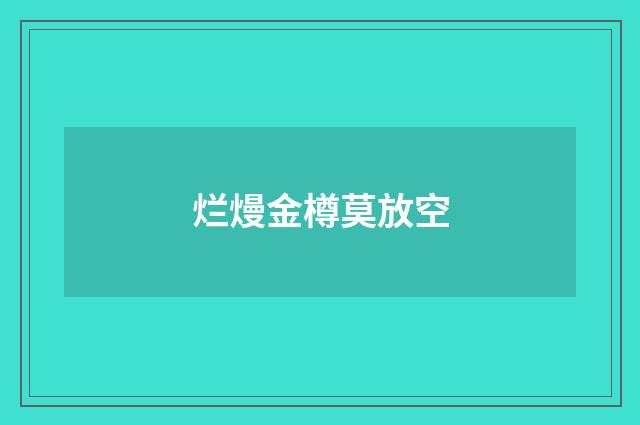 烂熳金樽莫放空