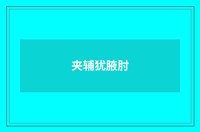夹辅犹腋肘