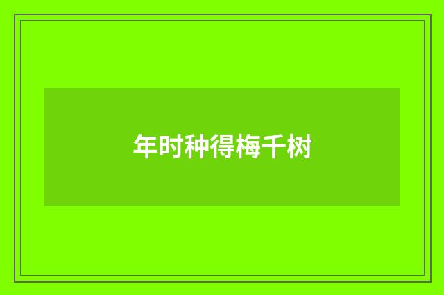年时种得梅千树