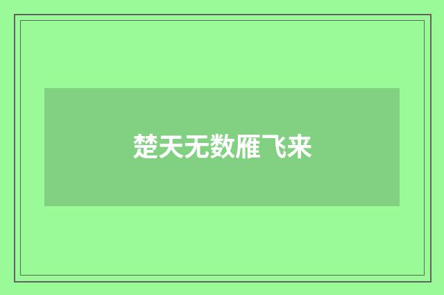 楚天无数雁飞来