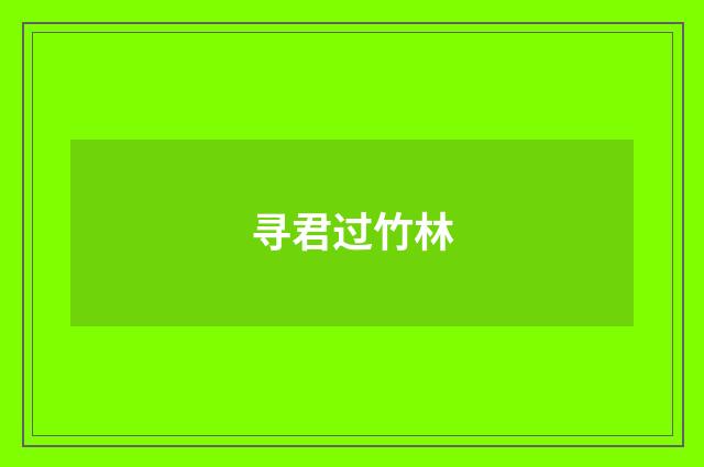 寻君过竹林