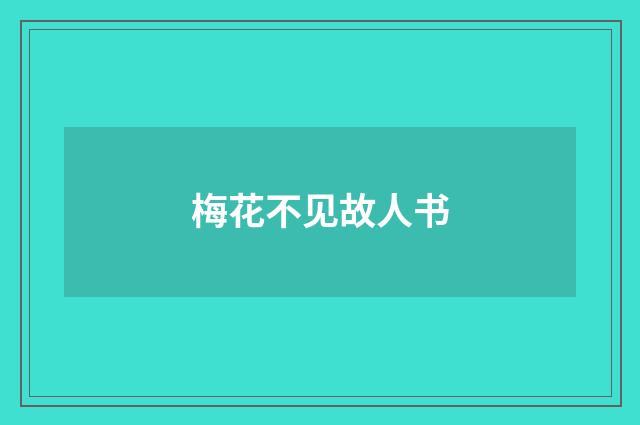 梅花不见故人书