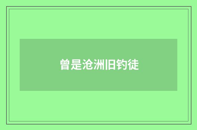 曾是沧洲旧钓徒