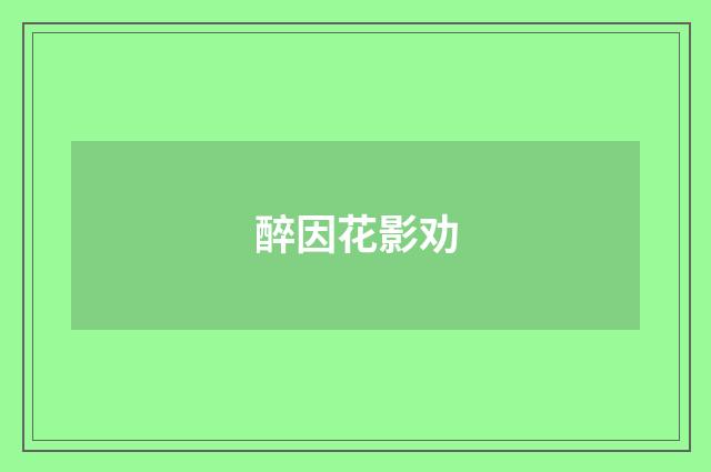 醉因花影劝
