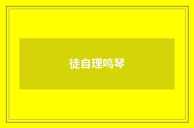 徒自理鸣琴