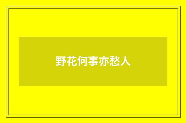 野花何事亦愁人
