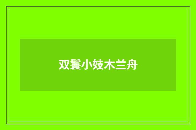 双鬟小妓木兰舟