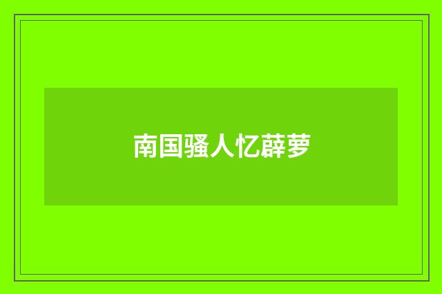 南国骚人忆薜萝