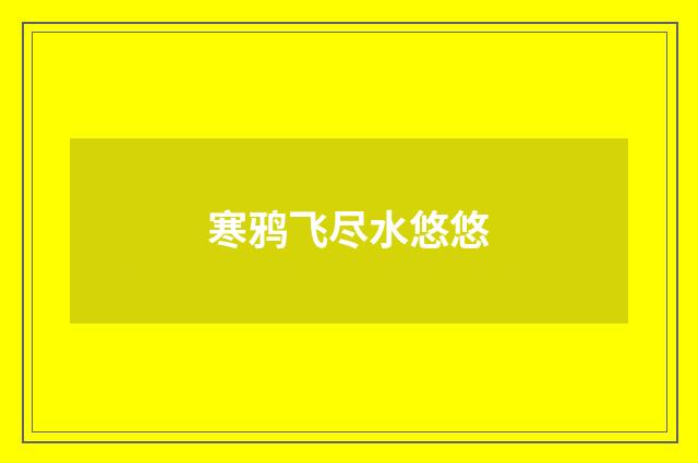 寒鸦飞尽水悠悠