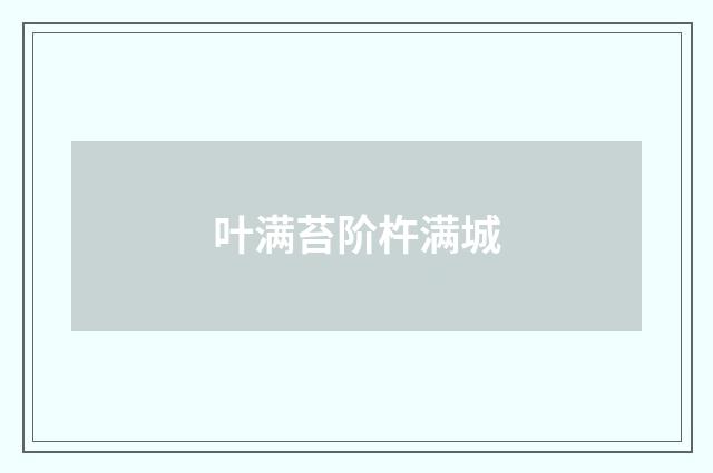 叶满苔阶杵满城