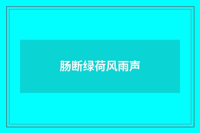 肠断绿荷风雨声