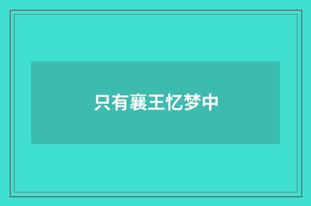只有襄王忆梦中