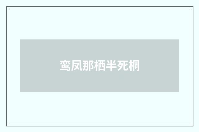 鸾凤那栖半死桐