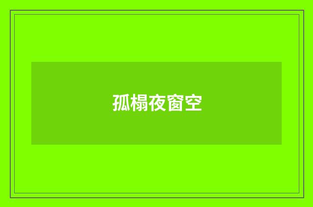 孤榻夜窗空