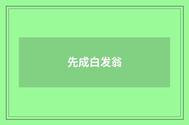 先成白发翁