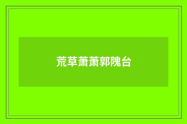 荒草萧萧郭隗台