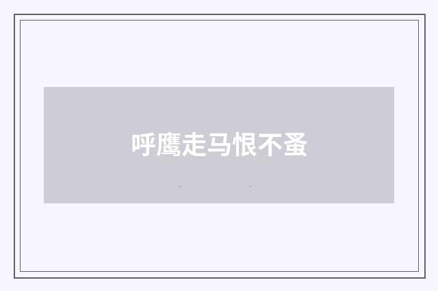 呼鹰走马恨不蚤