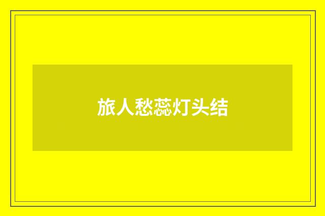 旅人愁蕊灯头结