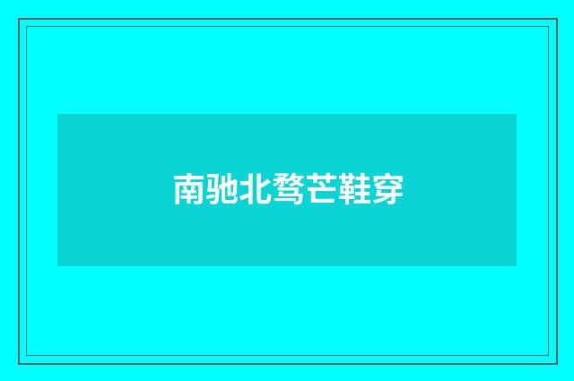 南驰北骛芒鞋穿