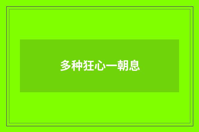 多种狂心一朝息