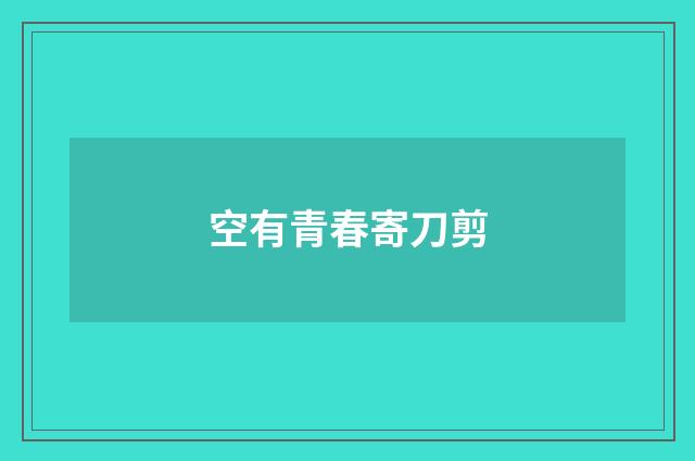 空有青春寄刀剪