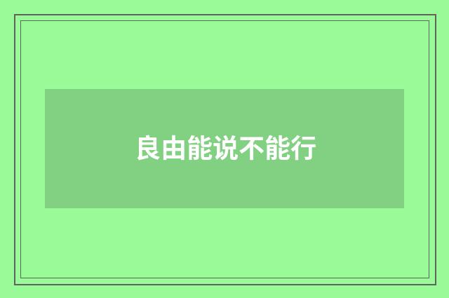 良由能说不能行