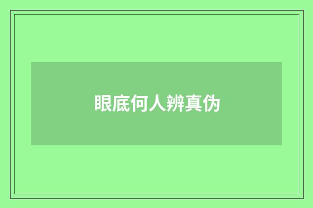 眼底何人辨真伪