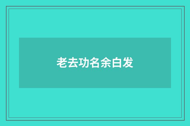 老去功名余白发