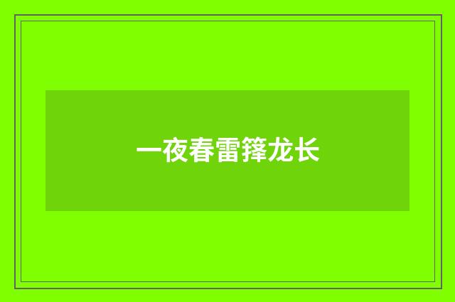 一夜春雷箨龙长