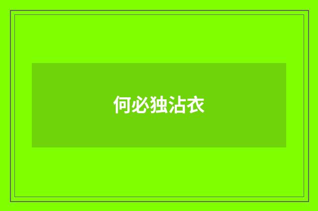何必独沾衣