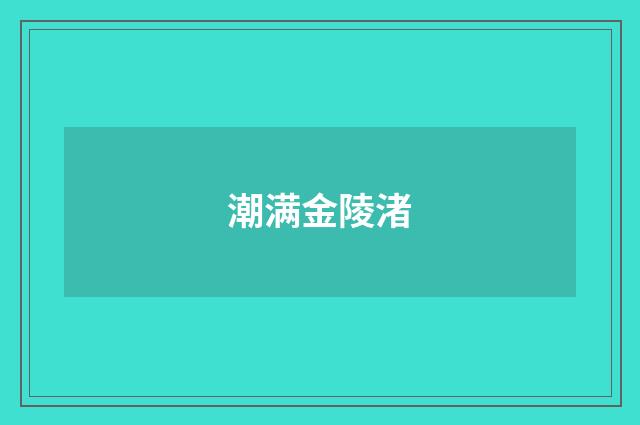 潮满金陵渚