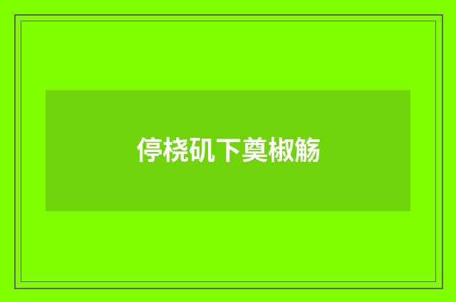 停桡矶下奠椒觞