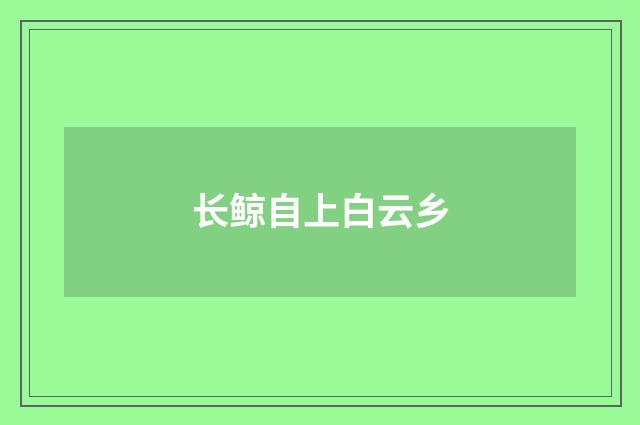 长鲸自上白云乡