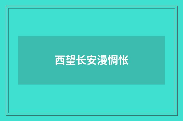 西望长安漫惆怅