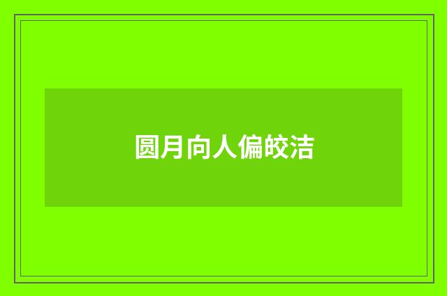 圆月向人偏皎洁